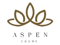 Aspen Properties - VisualHash Digital Marketing Client
